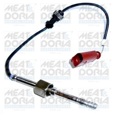 Sensor, exhaust gas temperature